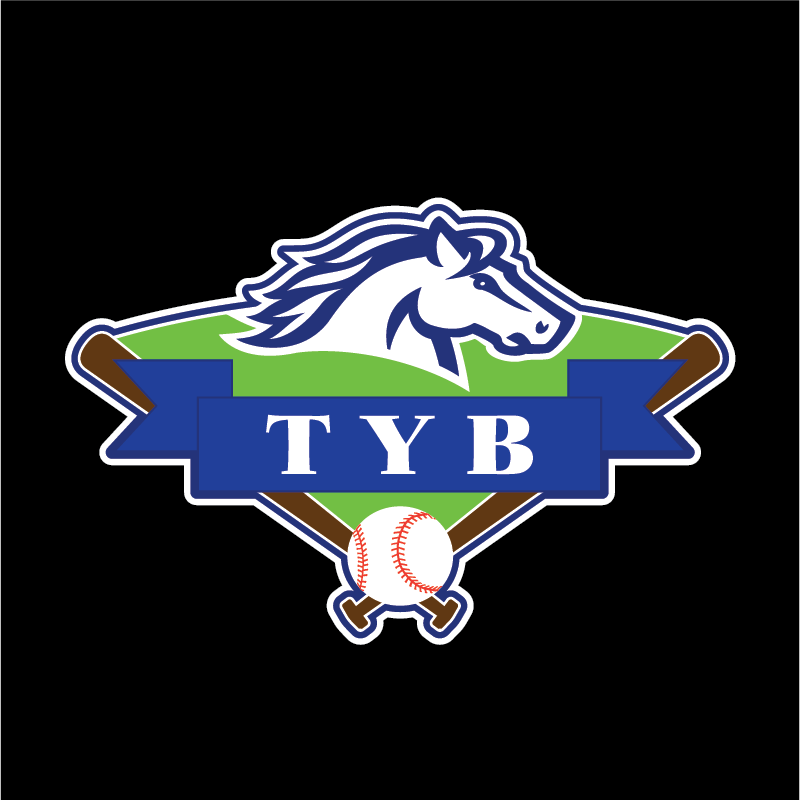 TYB (Official Merch Store)
